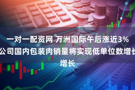一对一配资网 万洲国际午后涨近3% 公司国内包装肉销量将实现低单位数增长