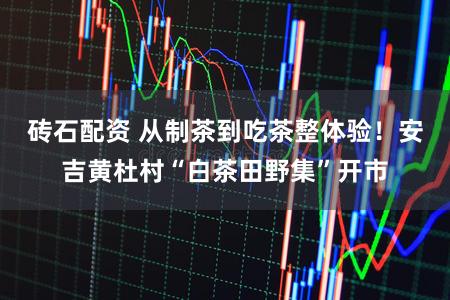 砖石配资 从制茶到吃茶整体验！安吉黄杜村“白茶田野集”开市