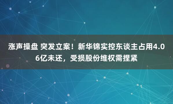 涨声操盘 突发立案！新华锦实控东谈主占用4.06亿未还，受损股份维权需捏紧