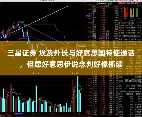 三星证券 埃及外长与好意思国特使通话，但愿好意思伊说念判好像抓续