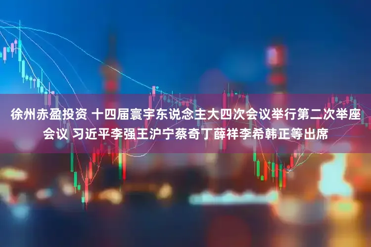 徐州赤盈投资 十四届寰宇东说念主大四次会议举行第二次举座会议 习近平李强王沪宁蔡奇丁薛祥李希韩正等出席