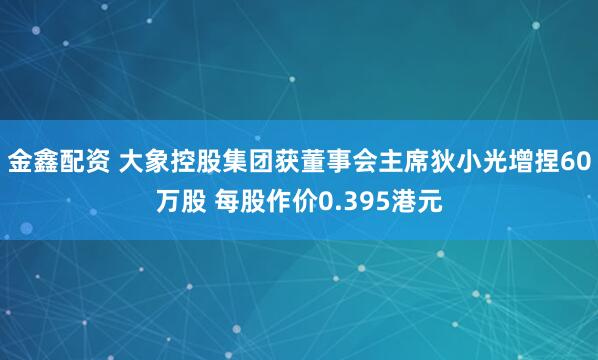 金鑫配资 大象控股集团获董事会主席狄小光增捏60万股 每股作价0.395港元