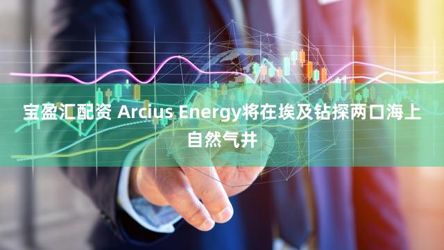 宝盈汇配资 Arcius Energy将在埃及钻探两口海上自然气井