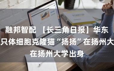 融邦智配 【长三角日报】华东地区首只体细胞克隆猫“扬扬”在扬州大学出身