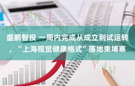 盛鹏智投 一周内完成从成立到试运转，“上海视觉健康格式”落地柬埔寨