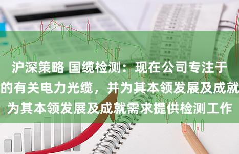 沪深策略 国缆检测：现在公司专注于电力通讯专网所用的有关电力光缆，并为其本领发展及成就需求提供检测工作